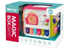 6 in 1 Activity Cube