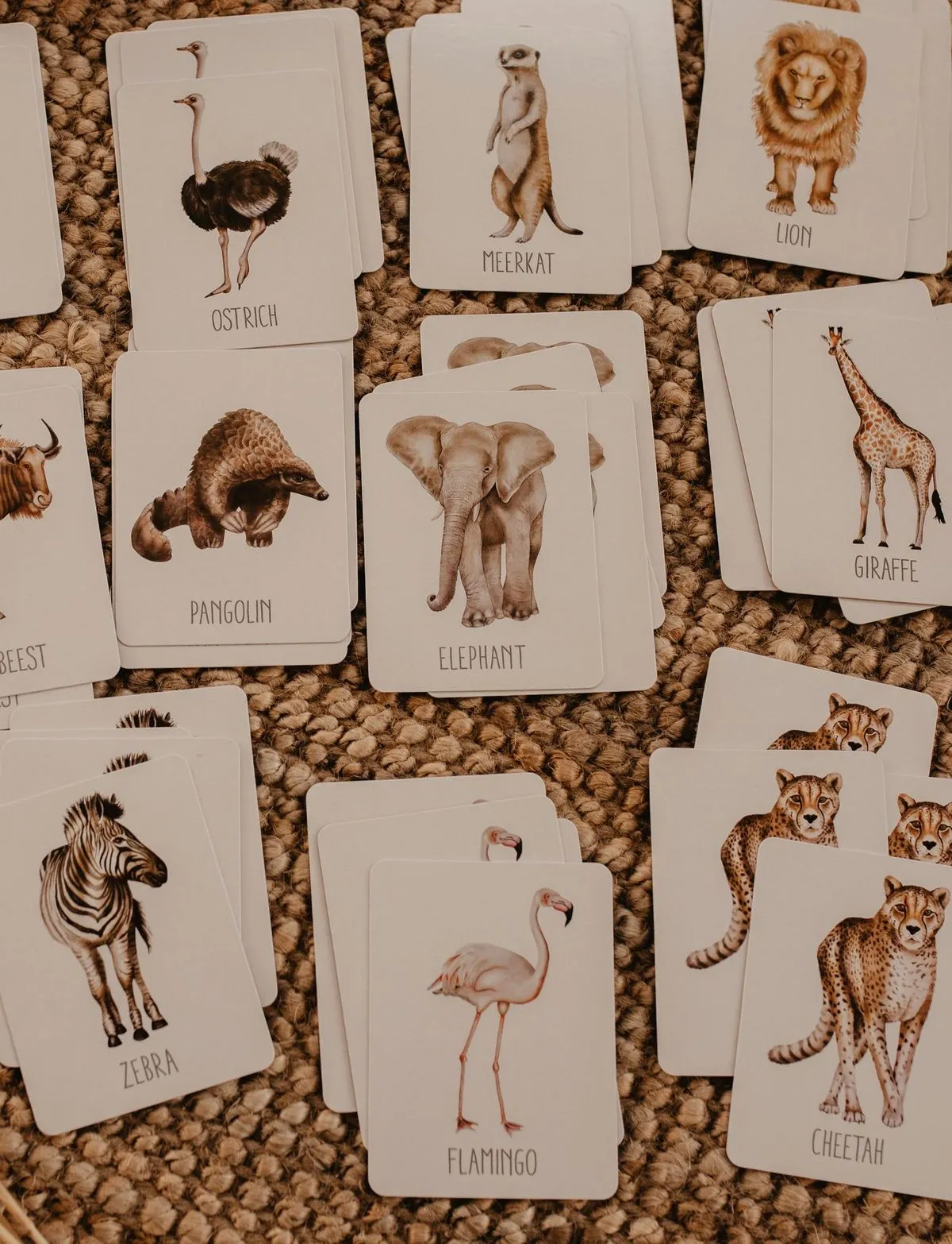 Africa Snap & Go Fish Card Game