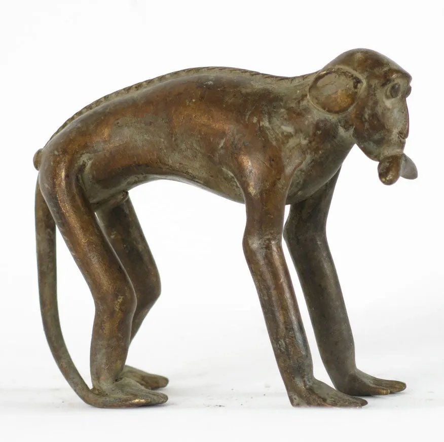 African Bronze Monkey