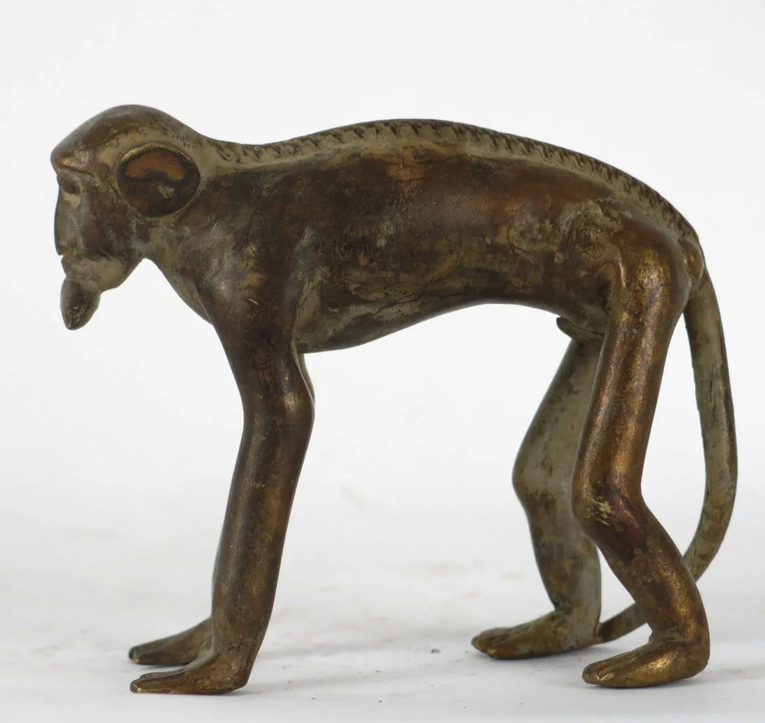 African Bronze Monkey