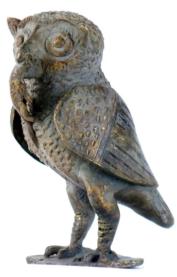 African Bronze Wise Owl