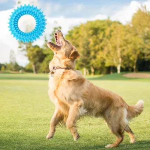 Bite Resistant Squeaky Sound Toy