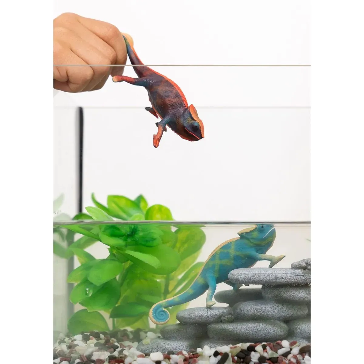 Chameleon 14858