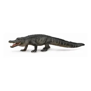 CollectA American Alligator Figurine L