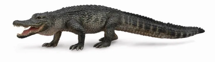 CollectA American Alligator Figurine L