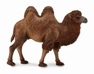 CollectA Bactrian Camel Figurine L