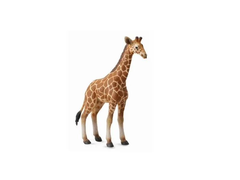 CollectA Reticulated Giraffe Calf Figurine L