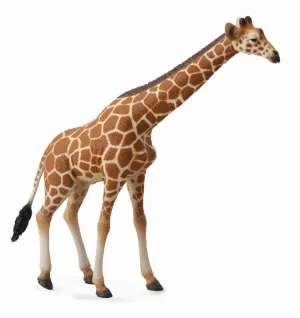 CollectA Reticulated Giraffe Figurine XL