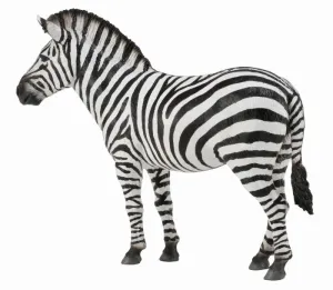 CollectA Zebra Common Figurine L