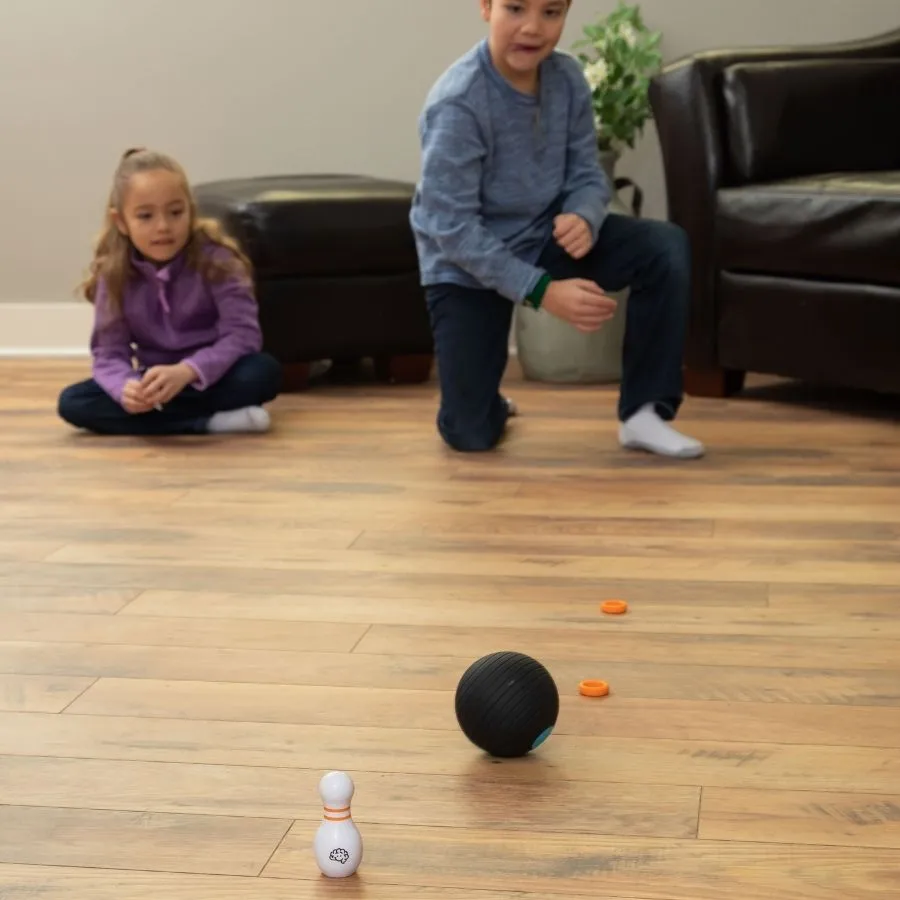 Fat Brain Toys - Curve Bowl Game