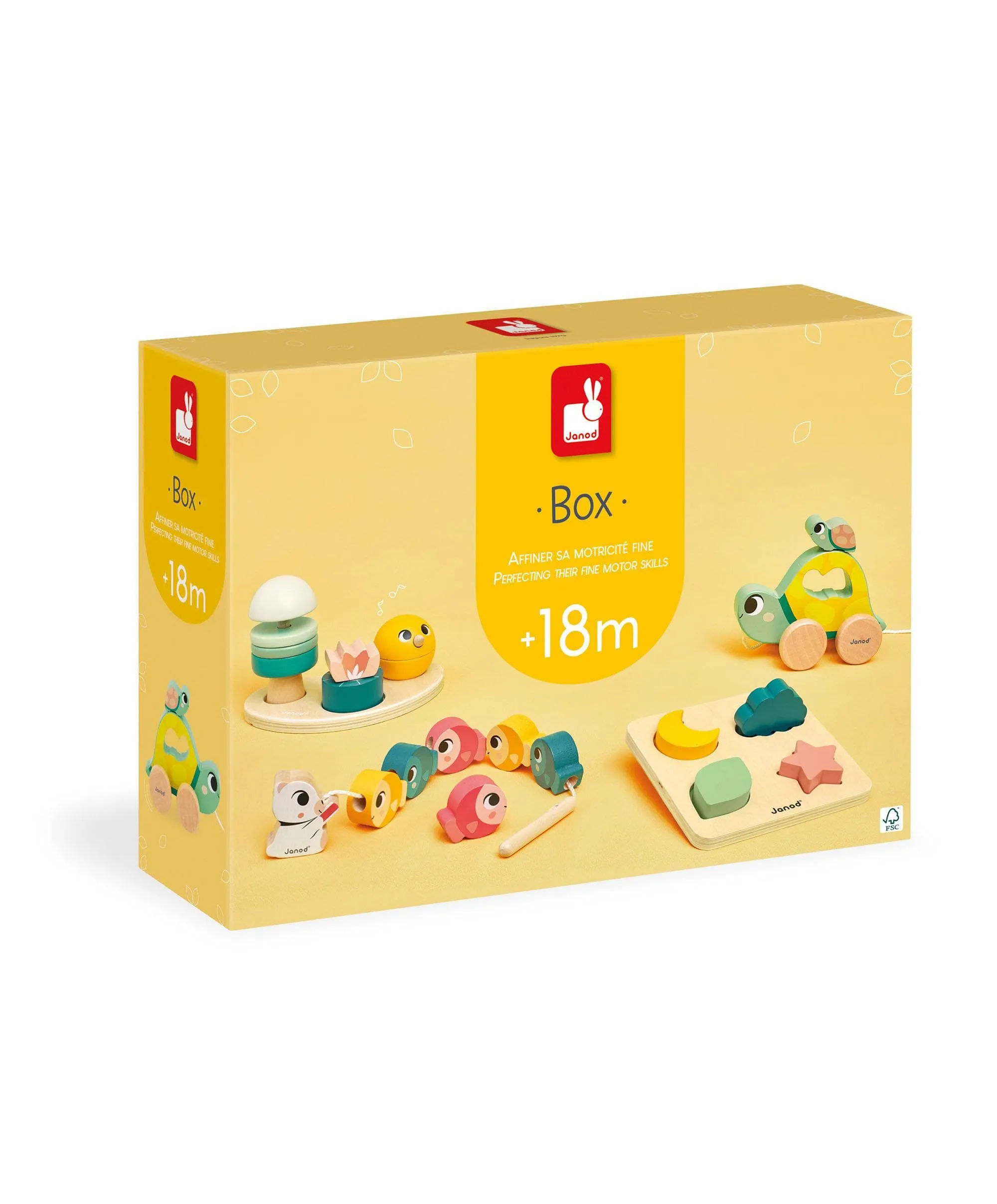 Janod Motor Skills Box - 18 months  