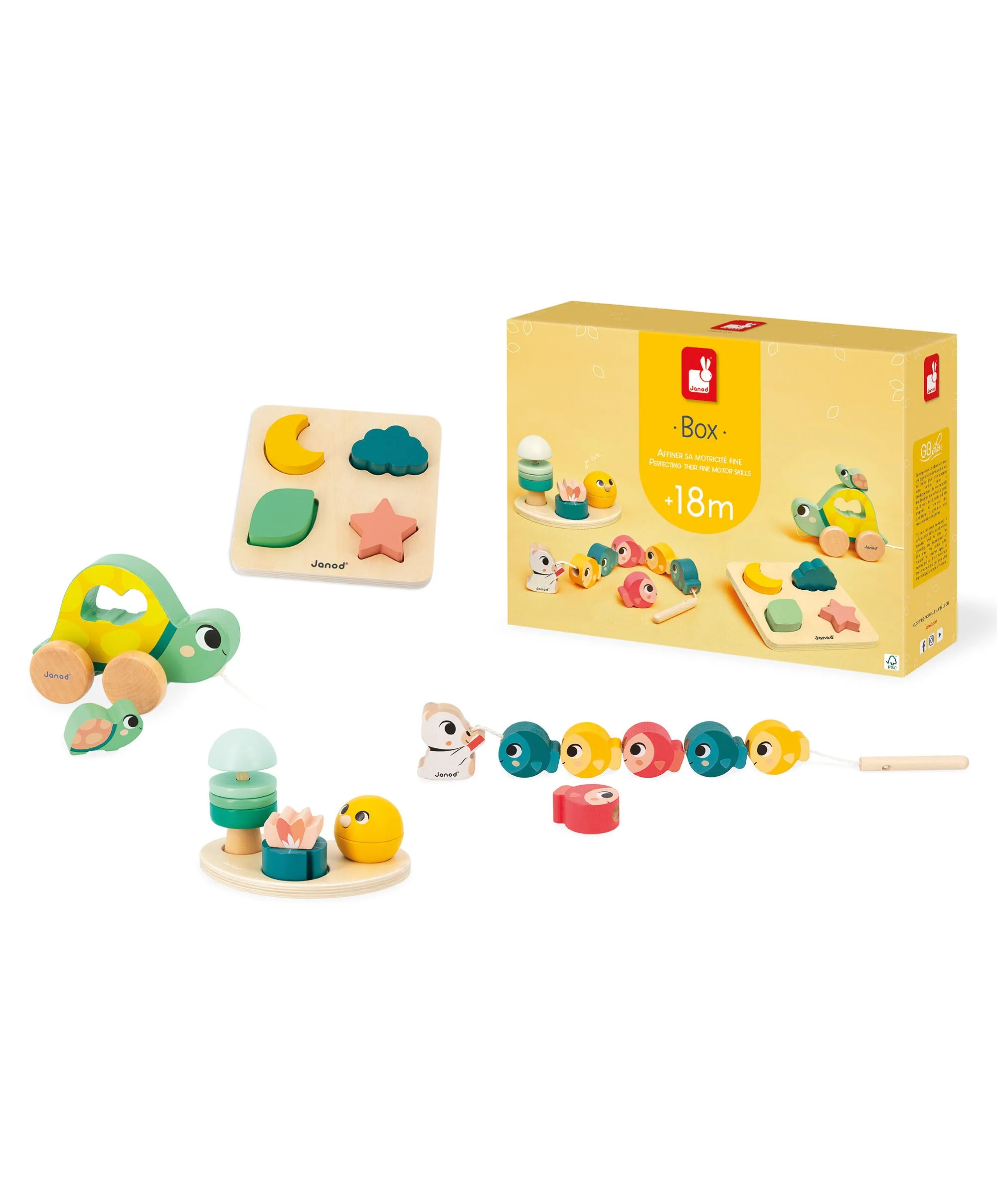 Janod Motor Skills Box - 18 months  