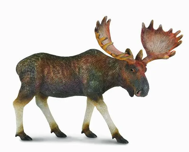 Moose