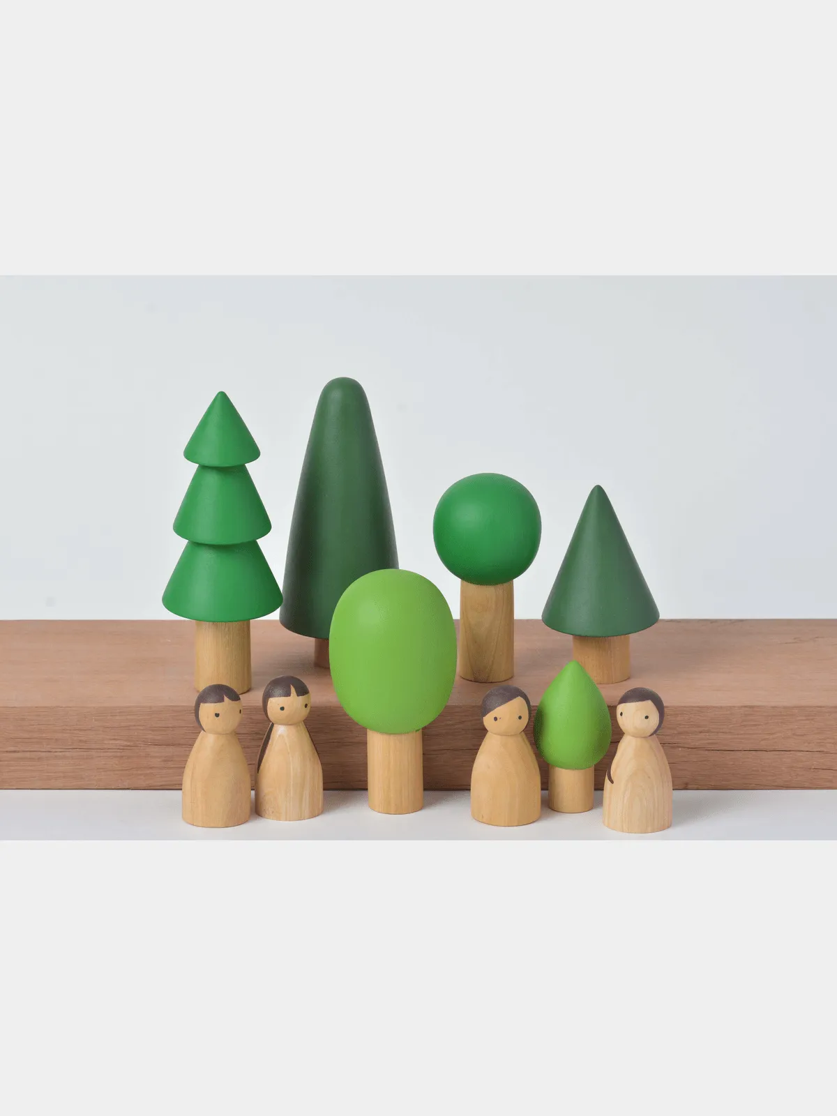 Natural Birch Folk in Evergreen Forest