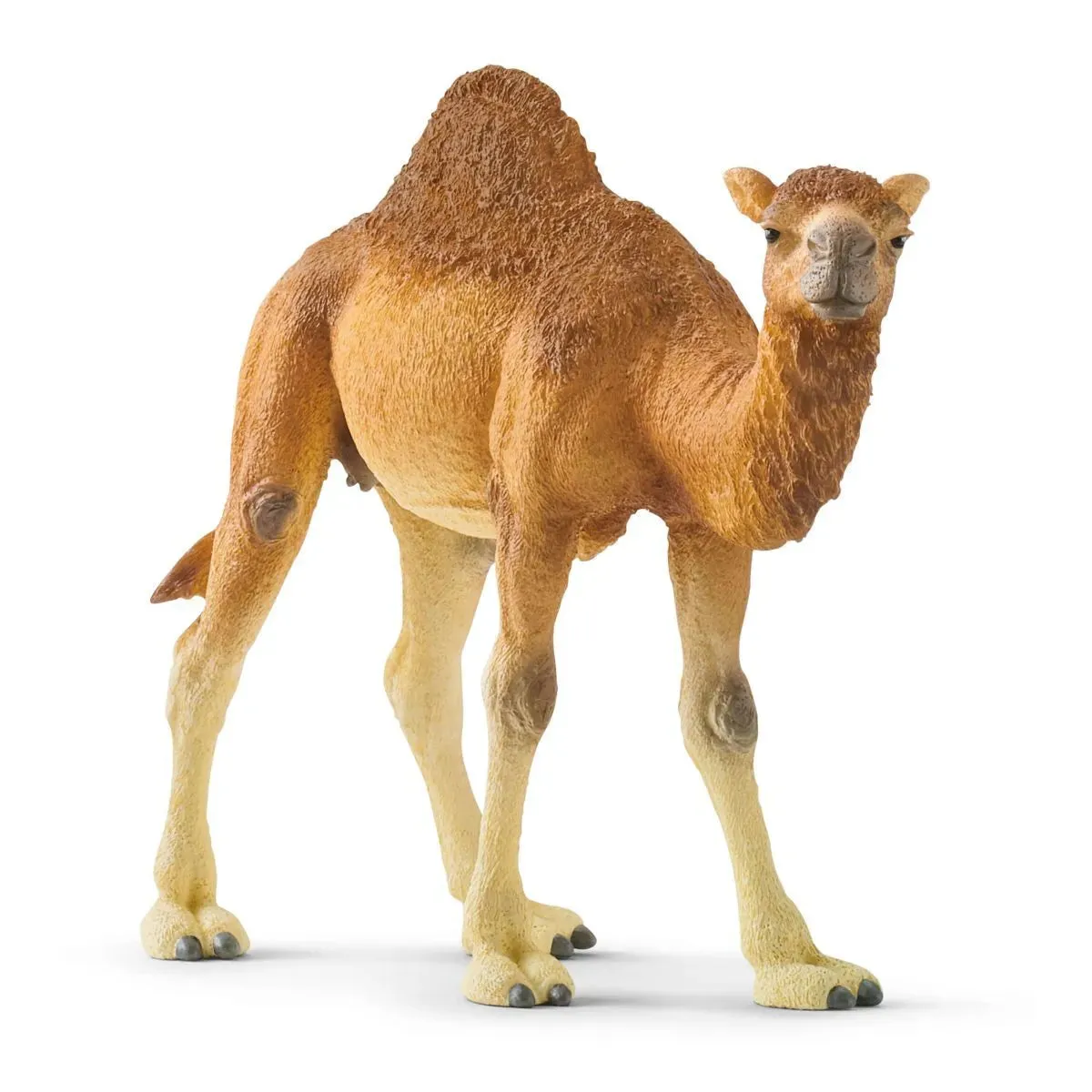 Schleich Wild Life Dromedary/Camel #14832