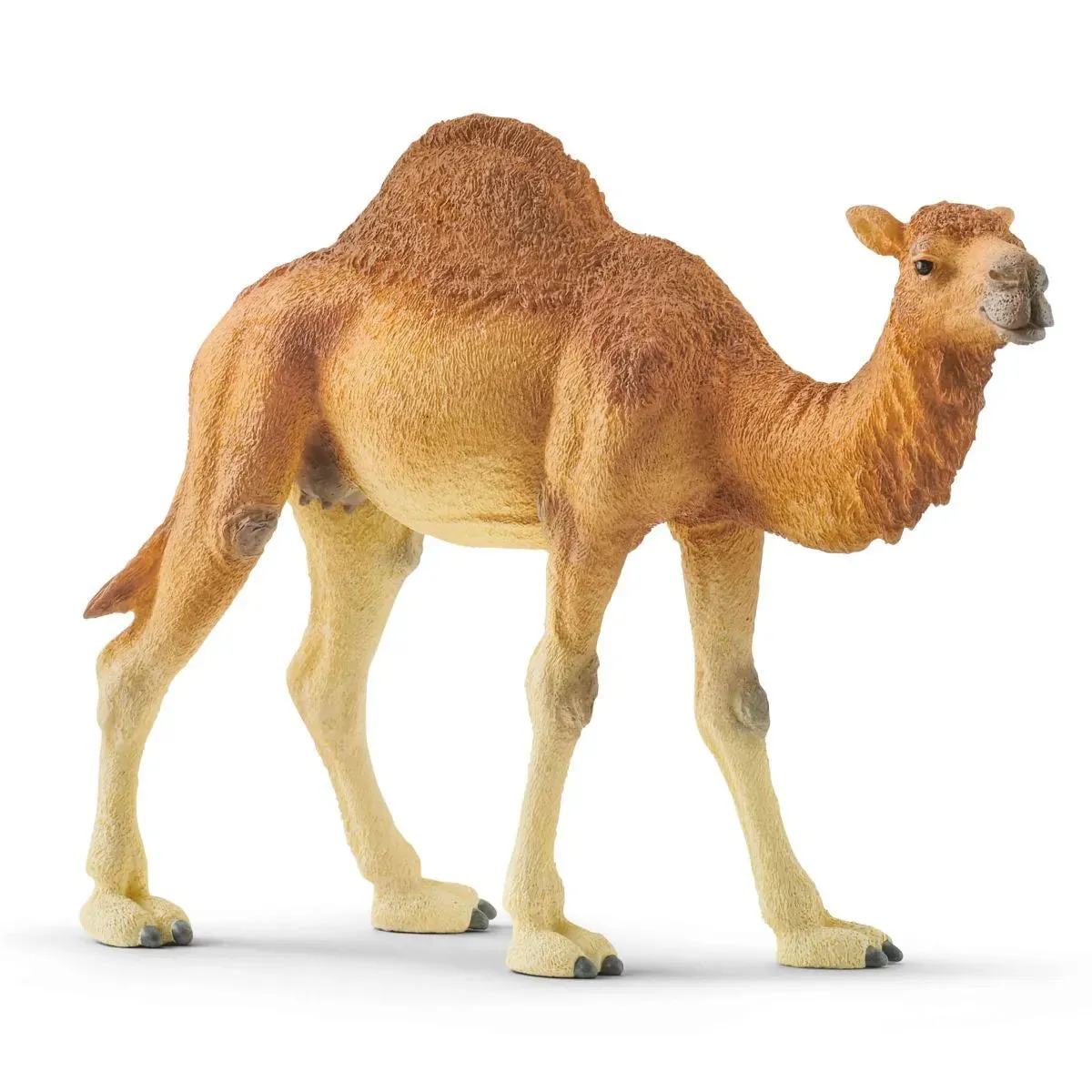 Schleich Wild Life Dromedary/Camel #14832