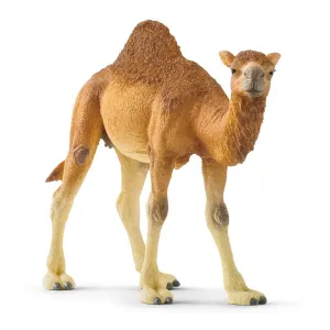 Schleich Wild Life Dromedary/Camel #14832