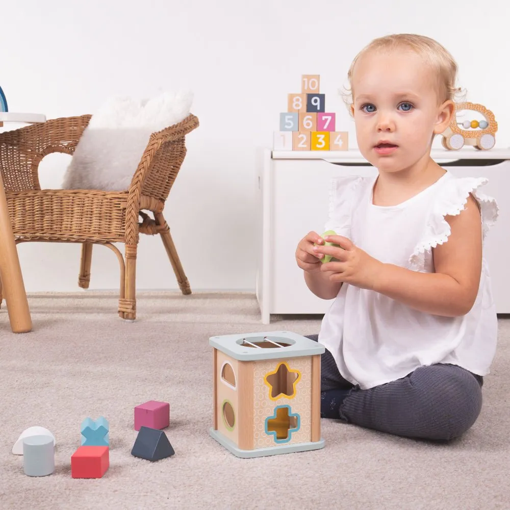 Shape Sorter Cube