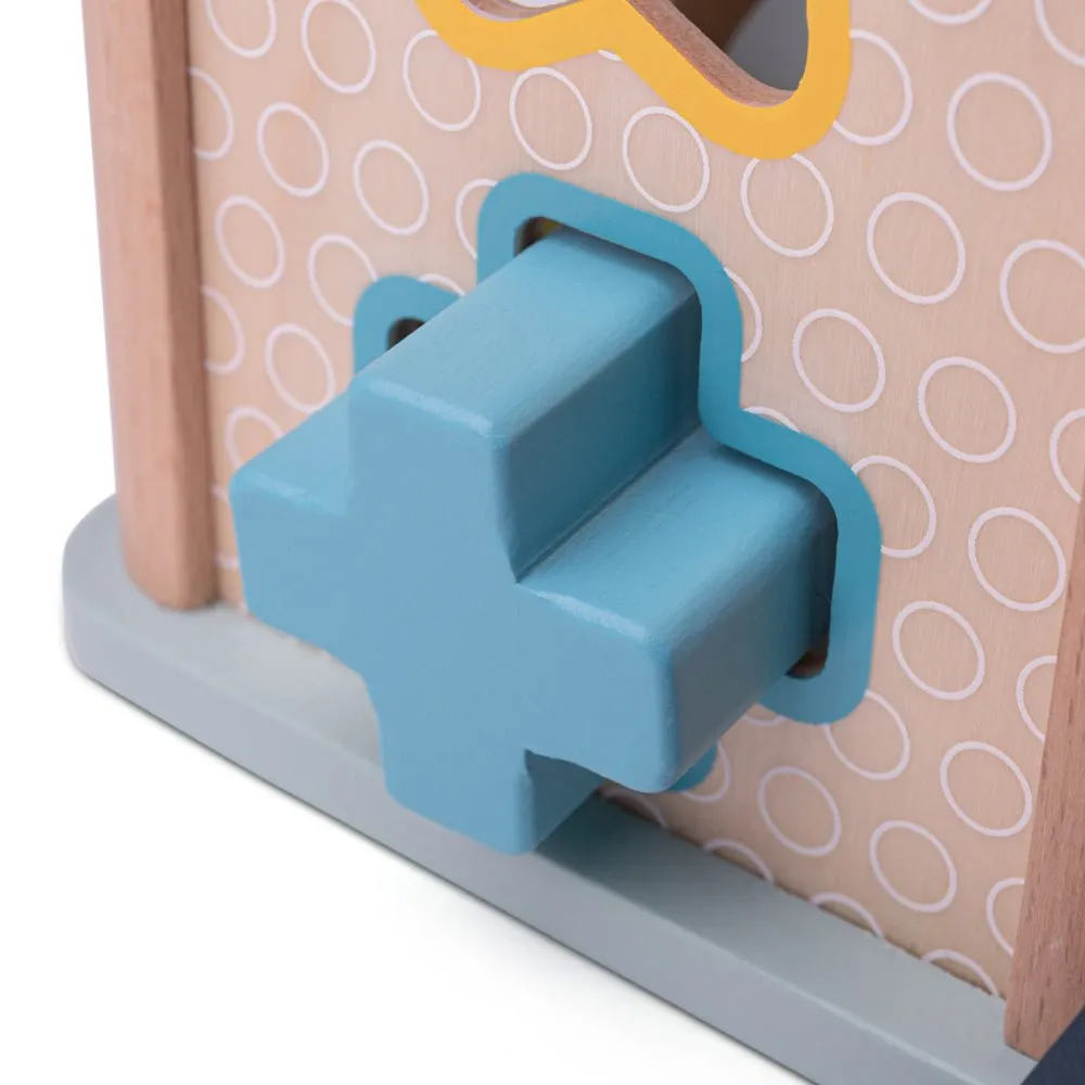 Shape Sorter Cube