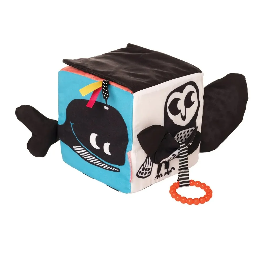 Wimmer Ferguson Learning Cube Activity Toy