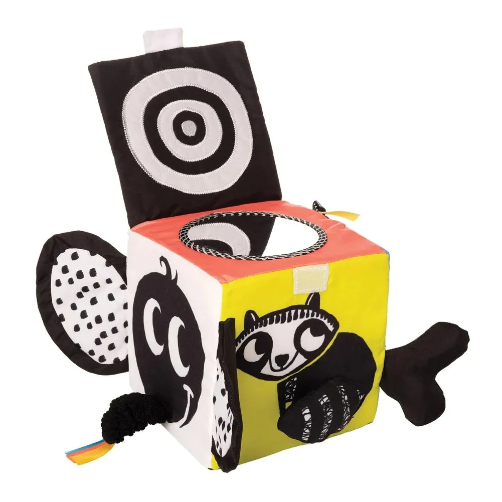Wimmer Ferguson Learning Cube Activity Toy