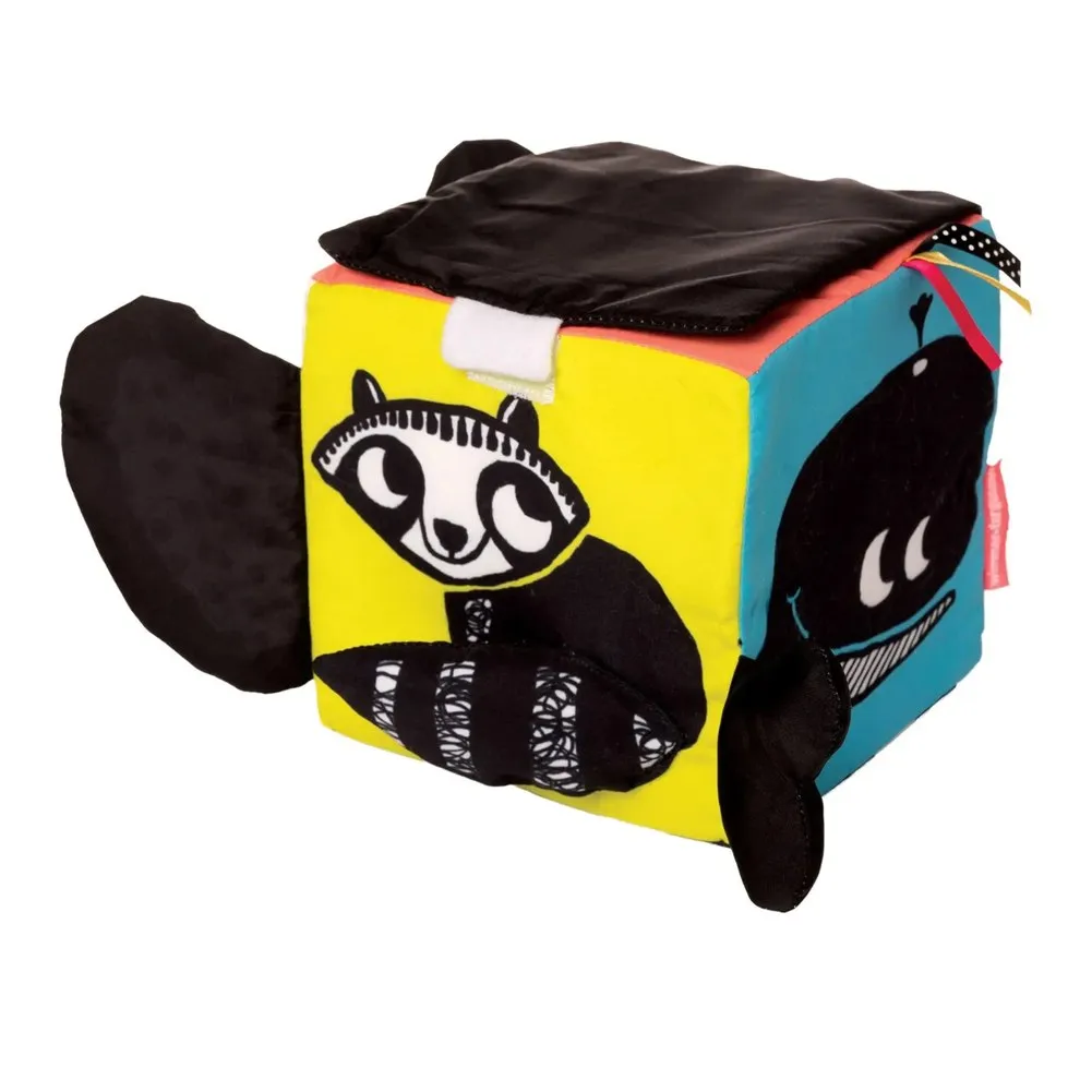 Wimmer Ferguson Learning Cube Activity Toy