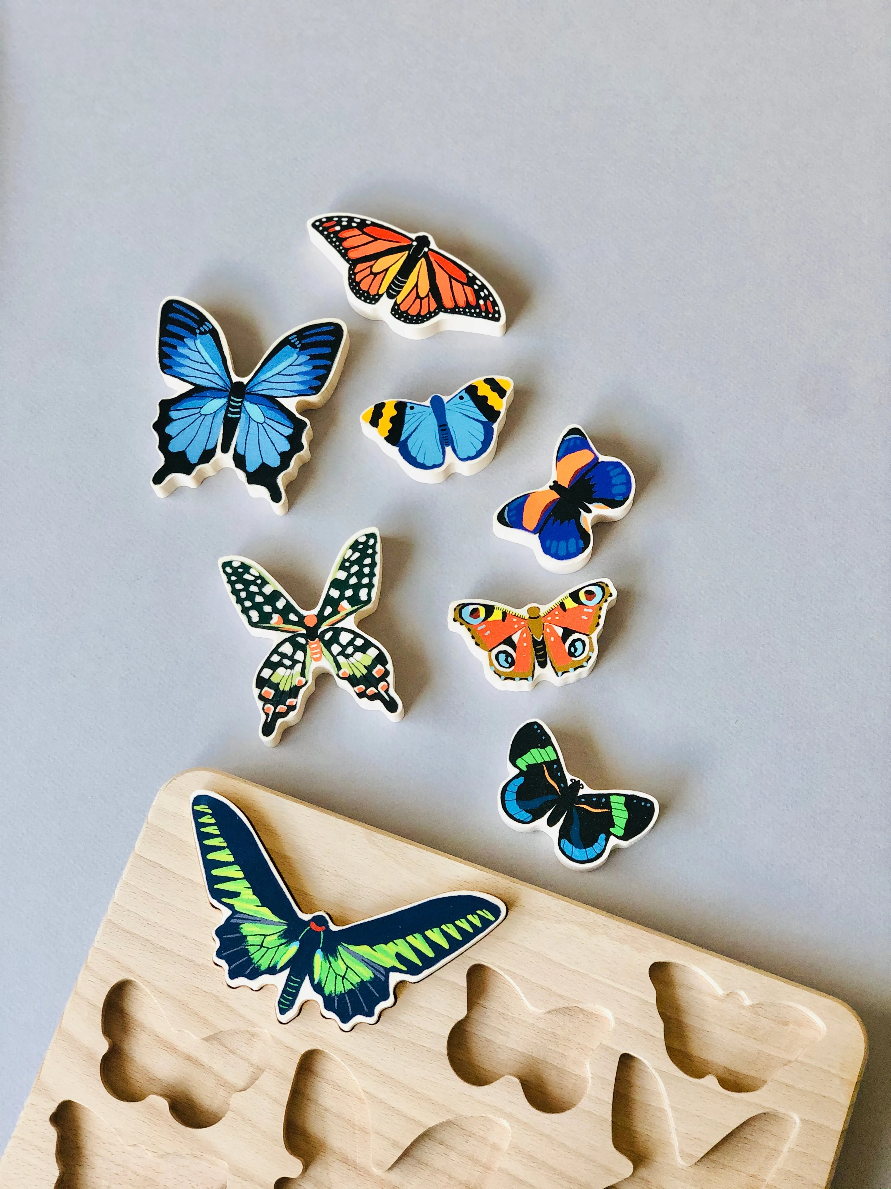 World of Butterflies Wooden Puzzle
